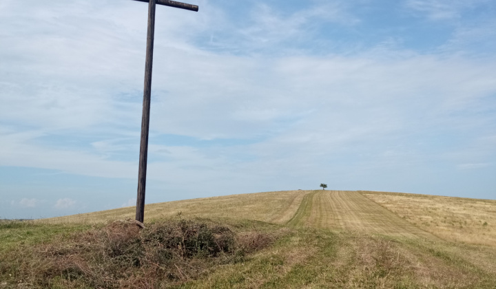 Zobraziť fotografiu